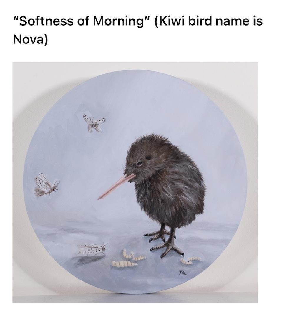 Andrea Robinson  Softness of Morning  McAtamney Gallery and Deisgn Store  Geraldine NZ .jpeg